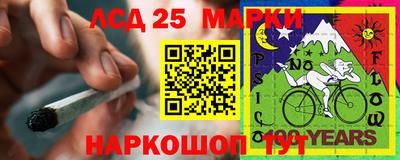 гидропоника Кингисепп