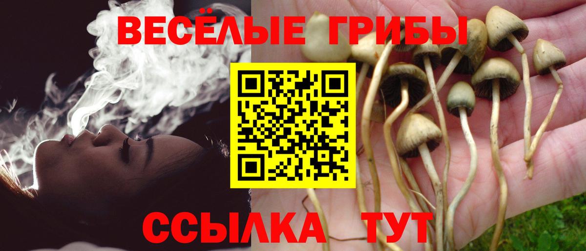 Псилоцибиновые грибы Magic Shrooms  продажа наркотиков  Звенигород  Вход с VPN 